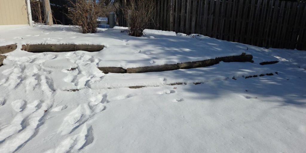 Snow_Removal